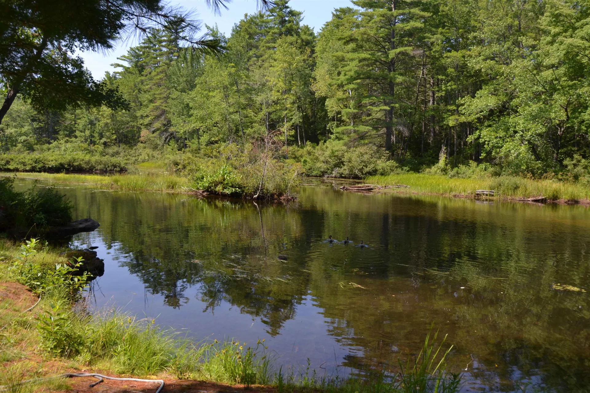 139 Governor Wentworth Highway Wolfeboro NH 03894