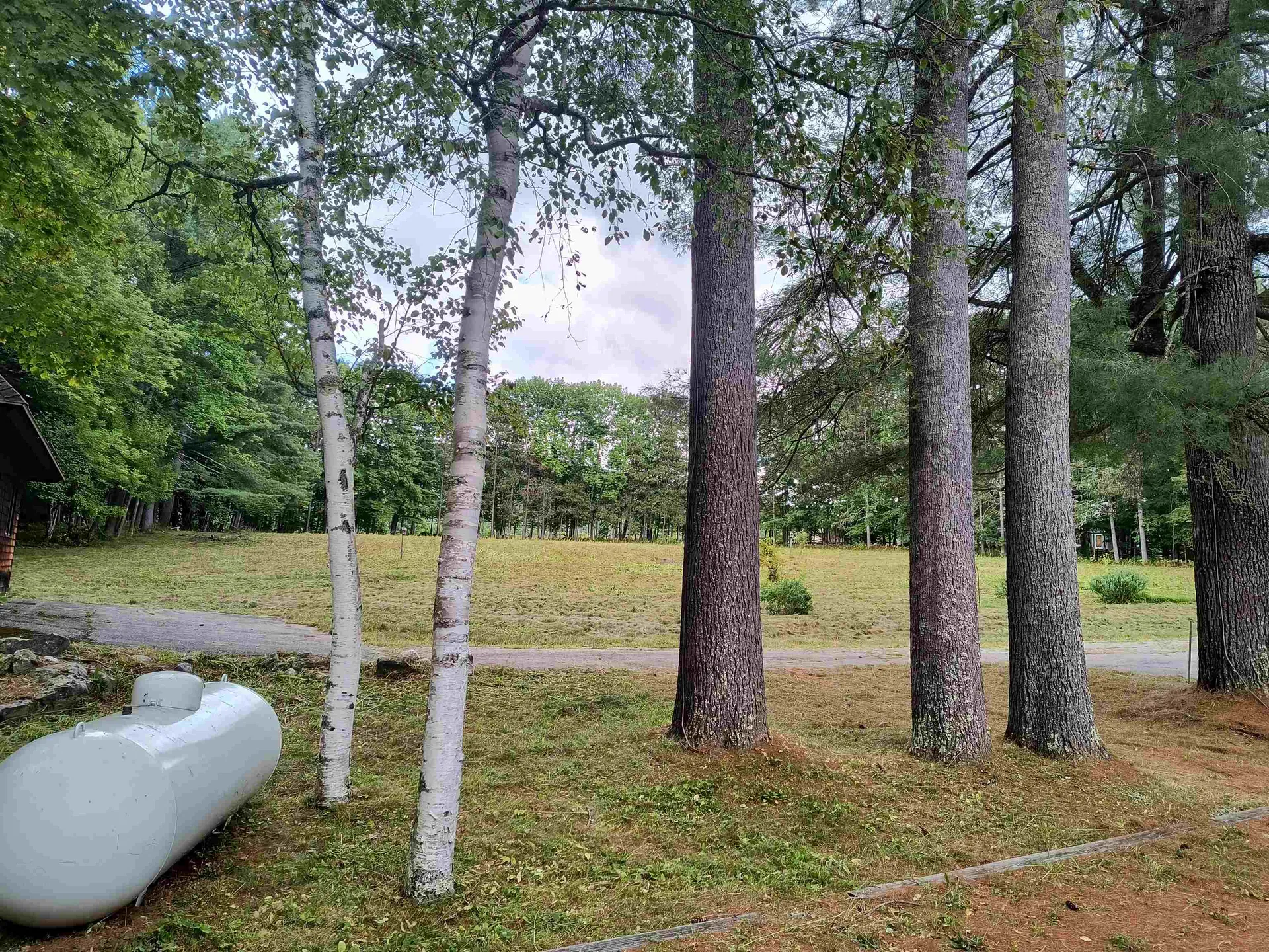 319 Bushnell Road Waitsfield VT 05673