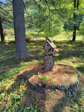 319 Bushnell Road Waitsfield VT 05673