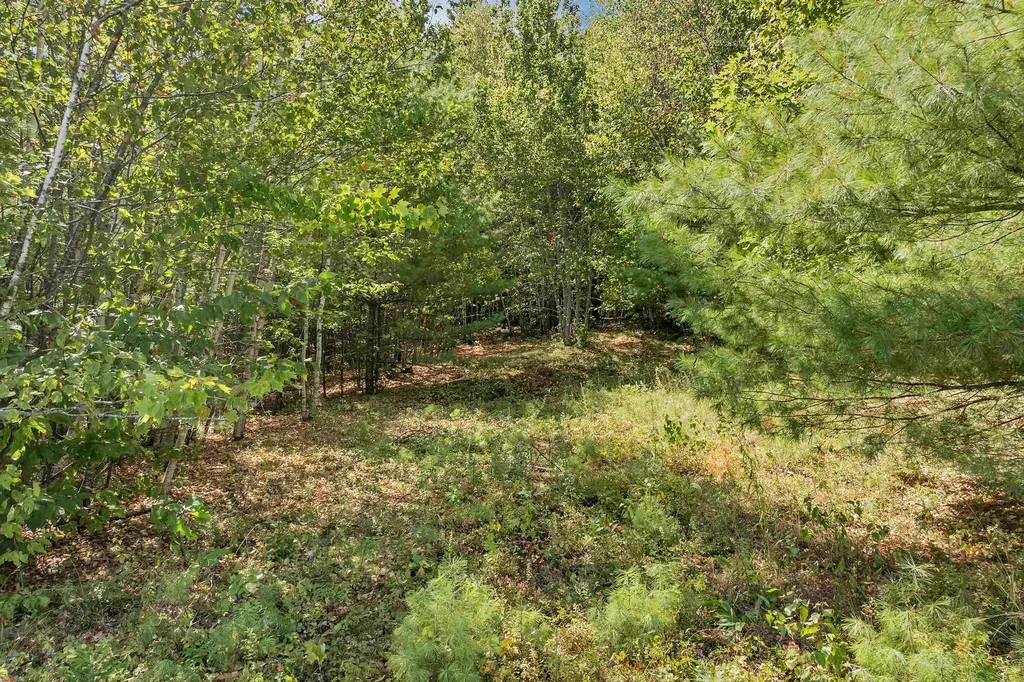 Map 25-6 Upper Trask Mountain Road Wolfeboro NH 03894