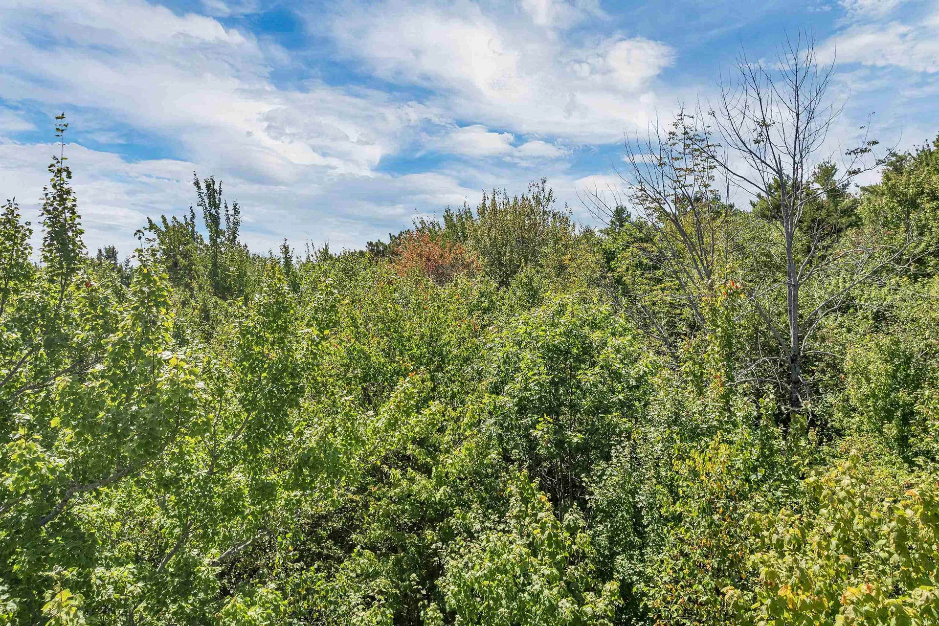 Map 25-6 Upper Trask Mountain Road Wolfeboro NH 03894