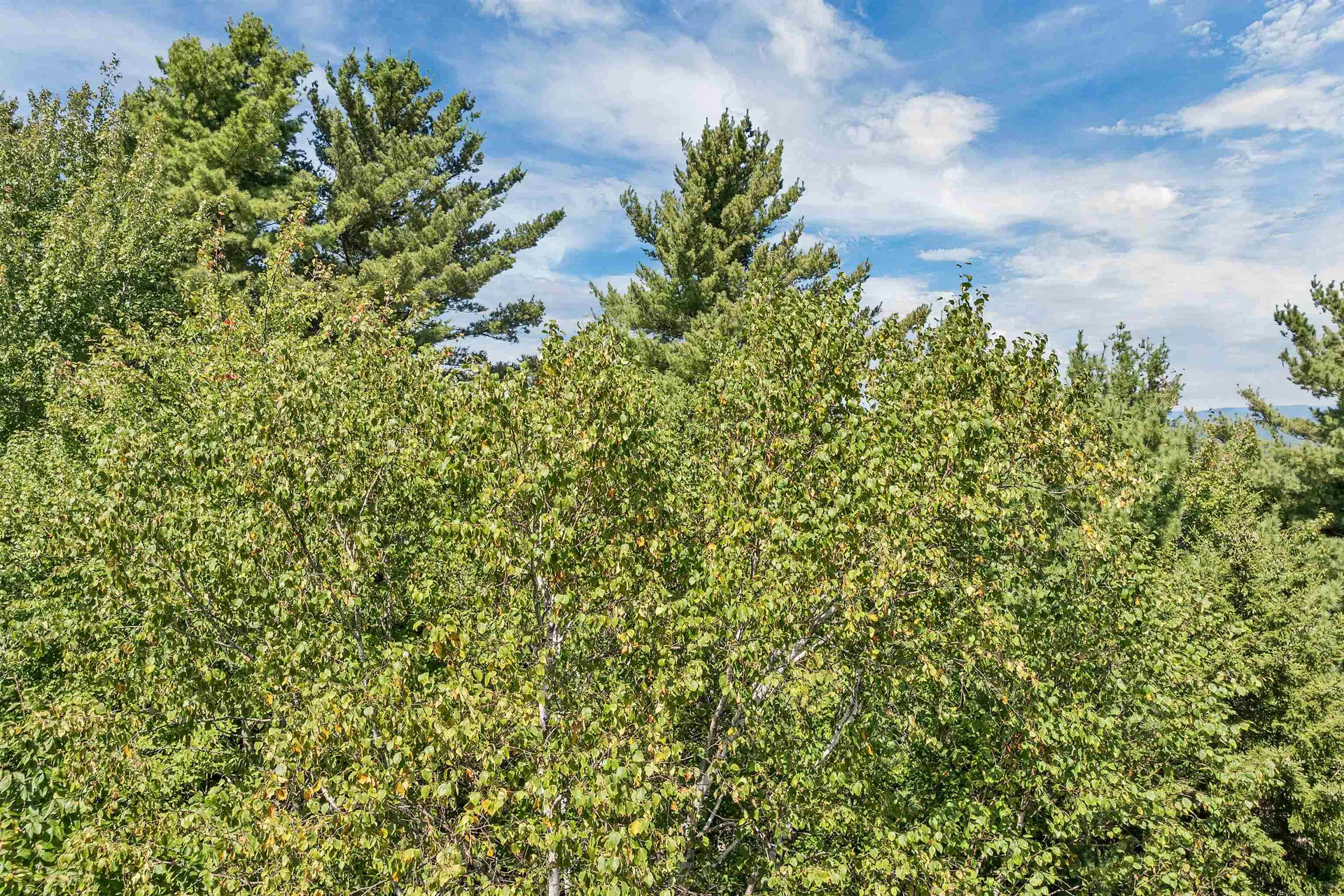 Map 25-6 Upper Trask Mountain Road Wolfeboro NH 03894