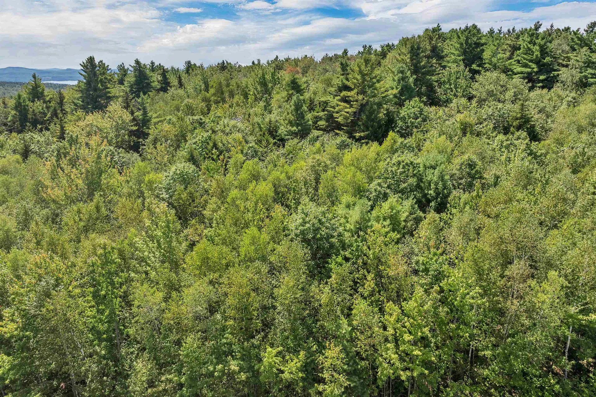 Map 25-6 Upper Trask Mountain Road Wolfeboro NH 03894