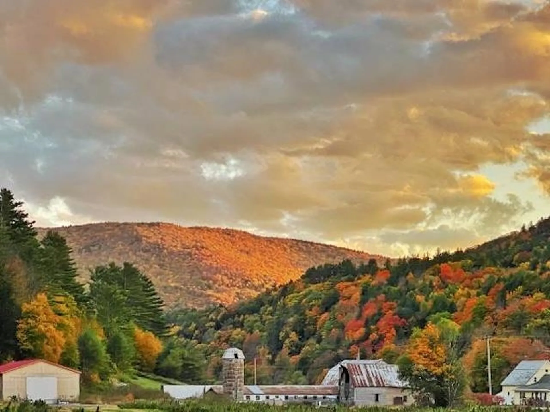 1433 N 116 Road Bristol VT 05443