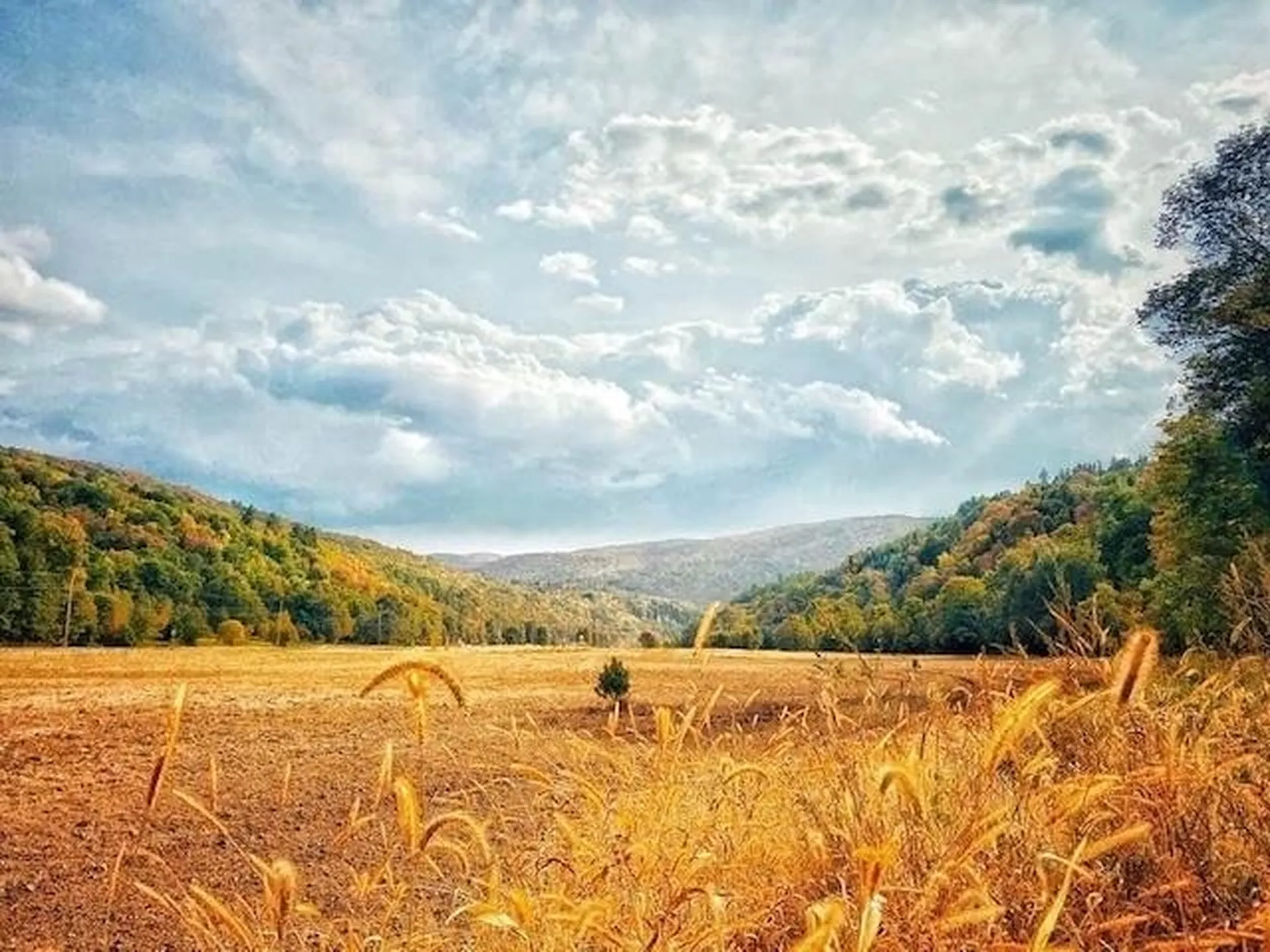 1433 N 116 Road Bristol VT 05443