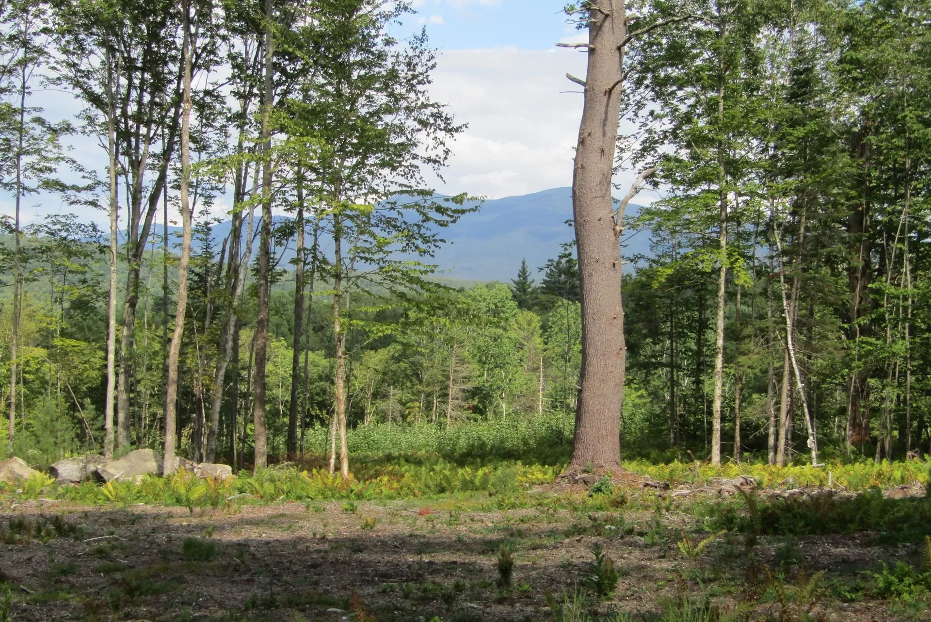 00 Coventry Road Benton NH 03785