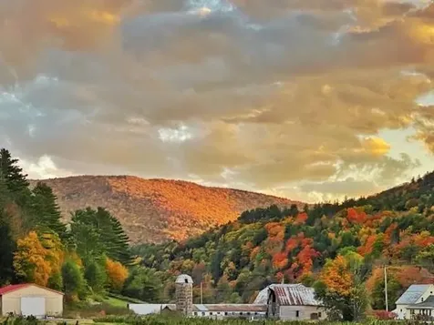 1433 N 116 Road Bristol VT 05443
