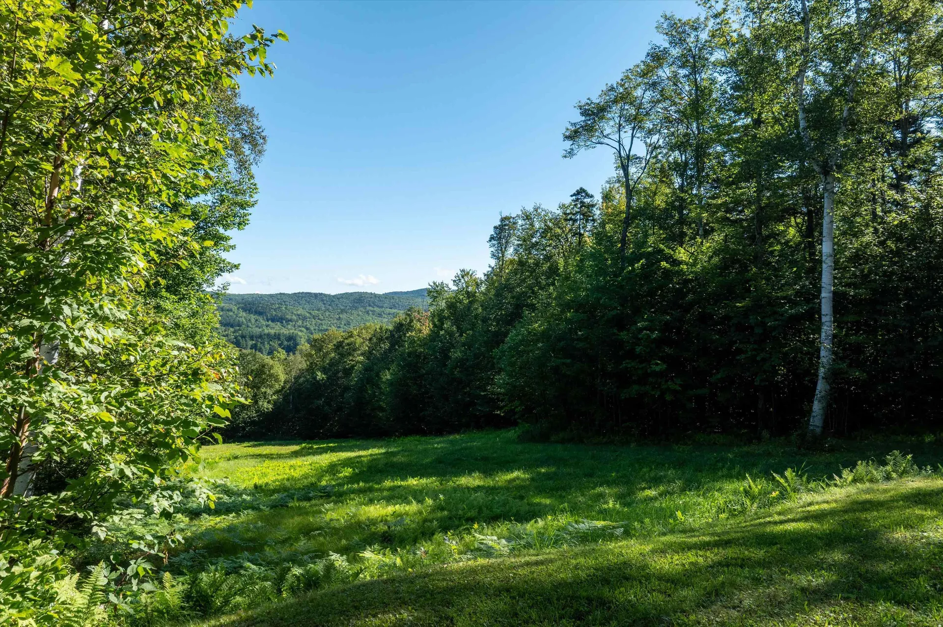 879 Glebe Mountain Road Windham VT 05359