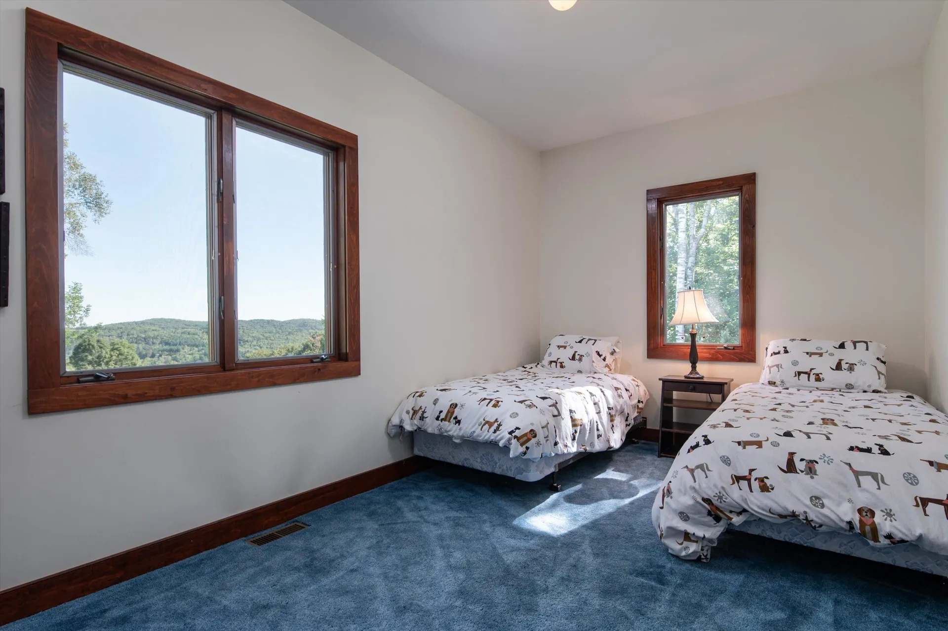 879 Glebe Mountain Road Windham VT 05359