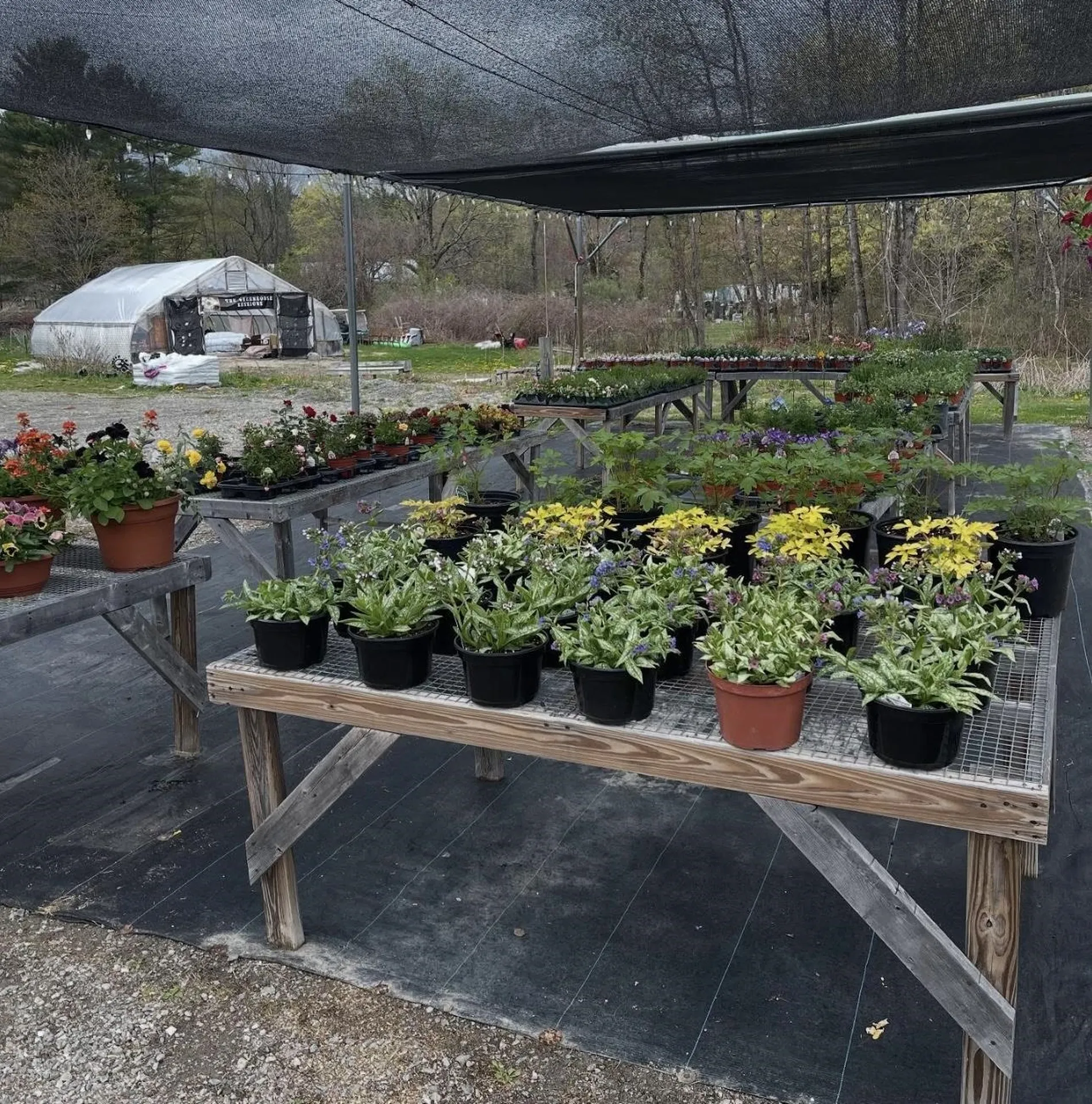 8678 Vt Route 30 Jamaica VT 05155