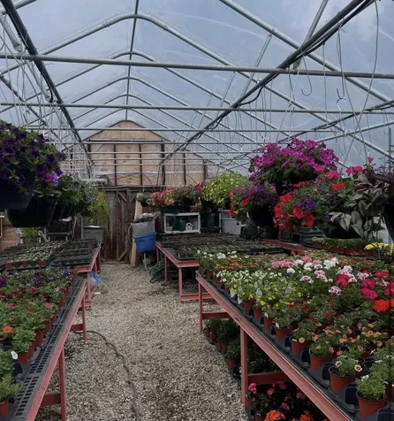 8678 Vt Route 30 Jamaica VT 05155