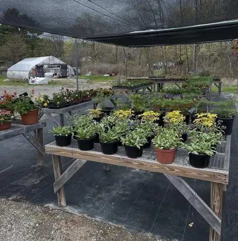 8678 Vt Route 30 Jamaica VT 05155