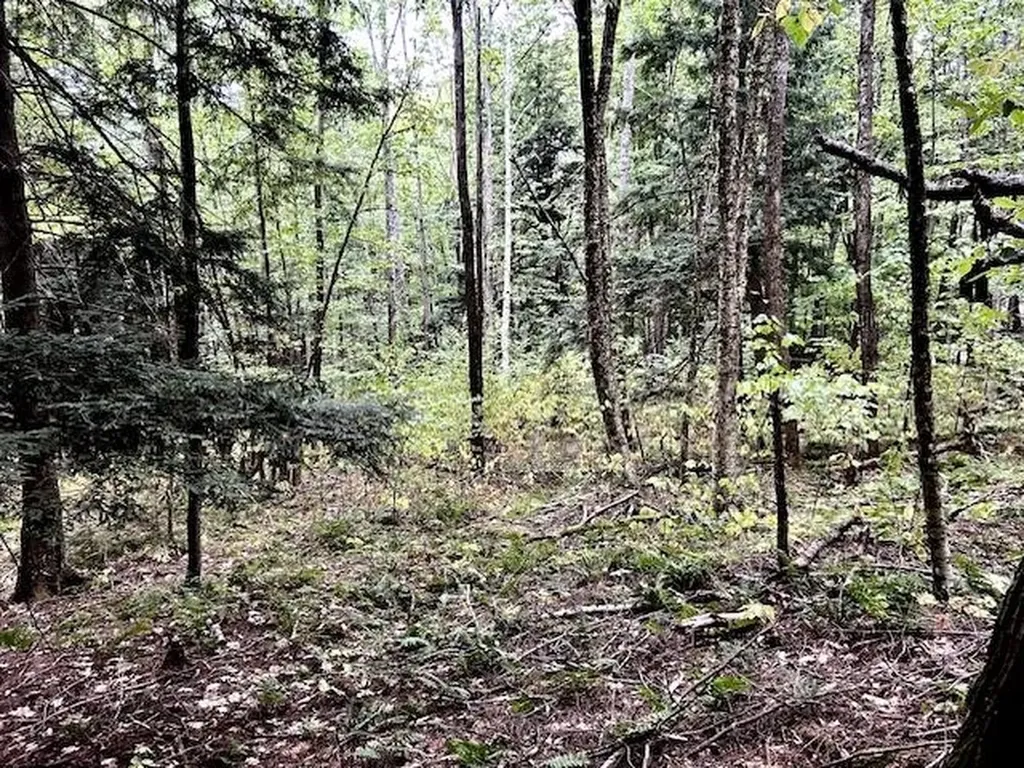 Bradley Hill Road Haverhill NH 03785