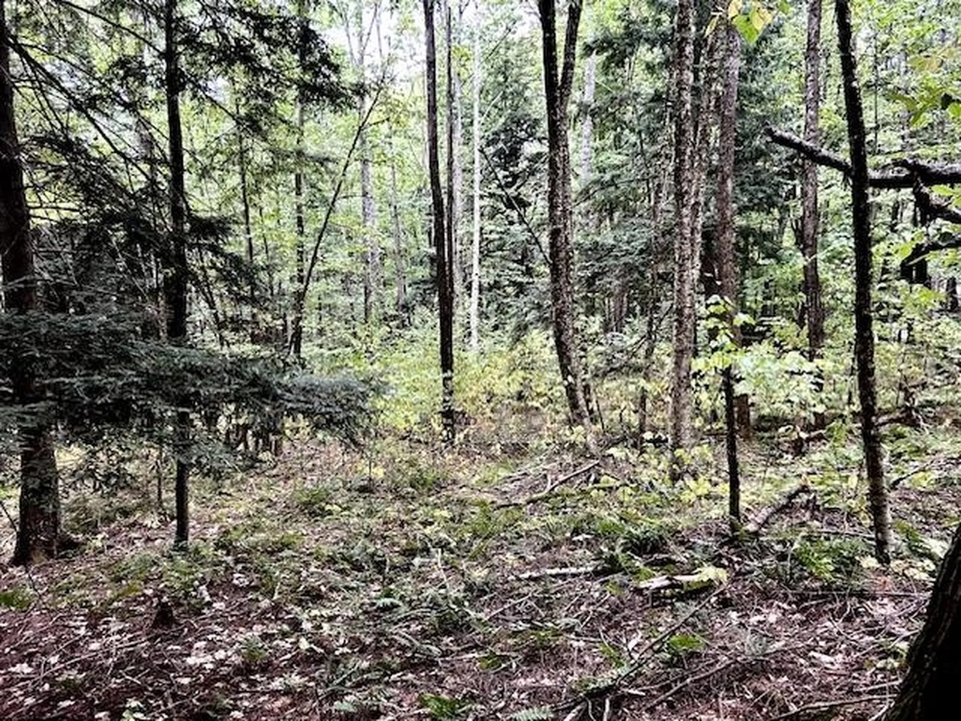 Bradley Hill Road Haverhill NH 03785