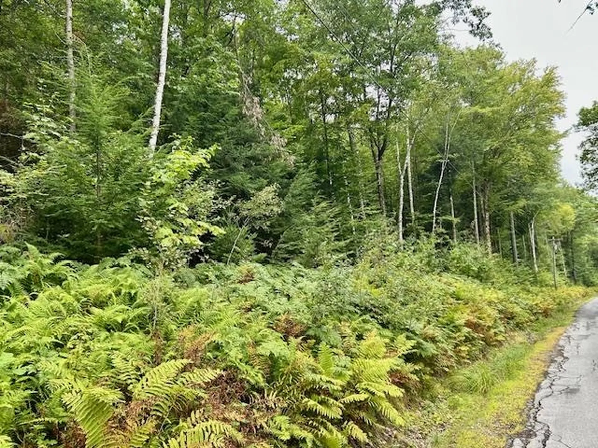 Bradley Hill Road Haverhill NH 03785