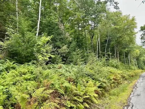 Bradley Hill Road Haverhill NH 03785