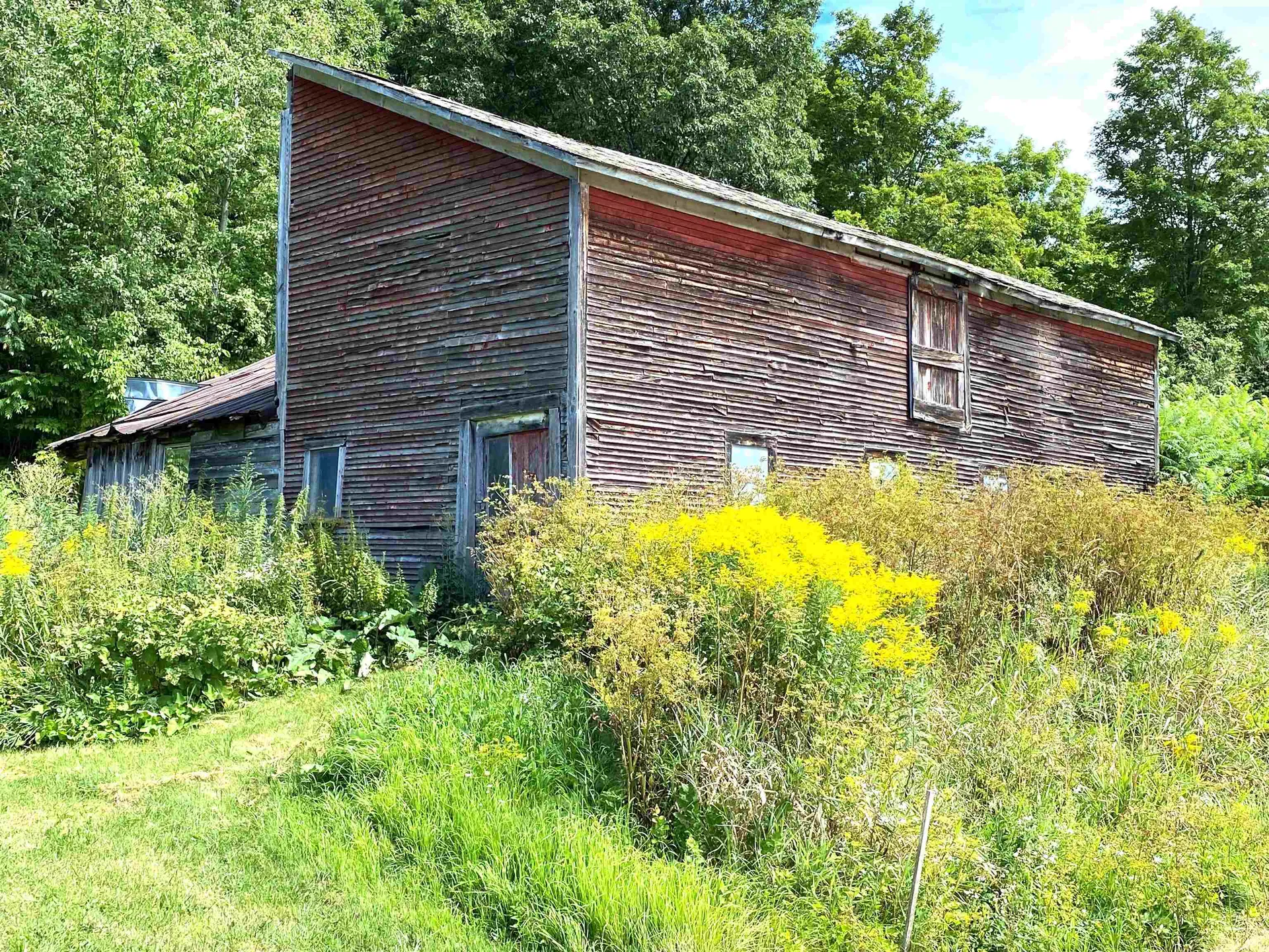 12 Woodridge Road Colchester VT 05446