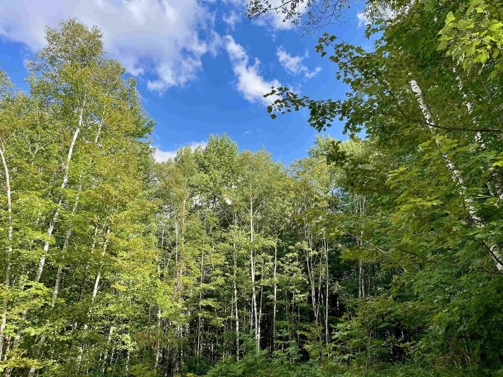 00 Dog Wood Lane Lyndon VT 05851