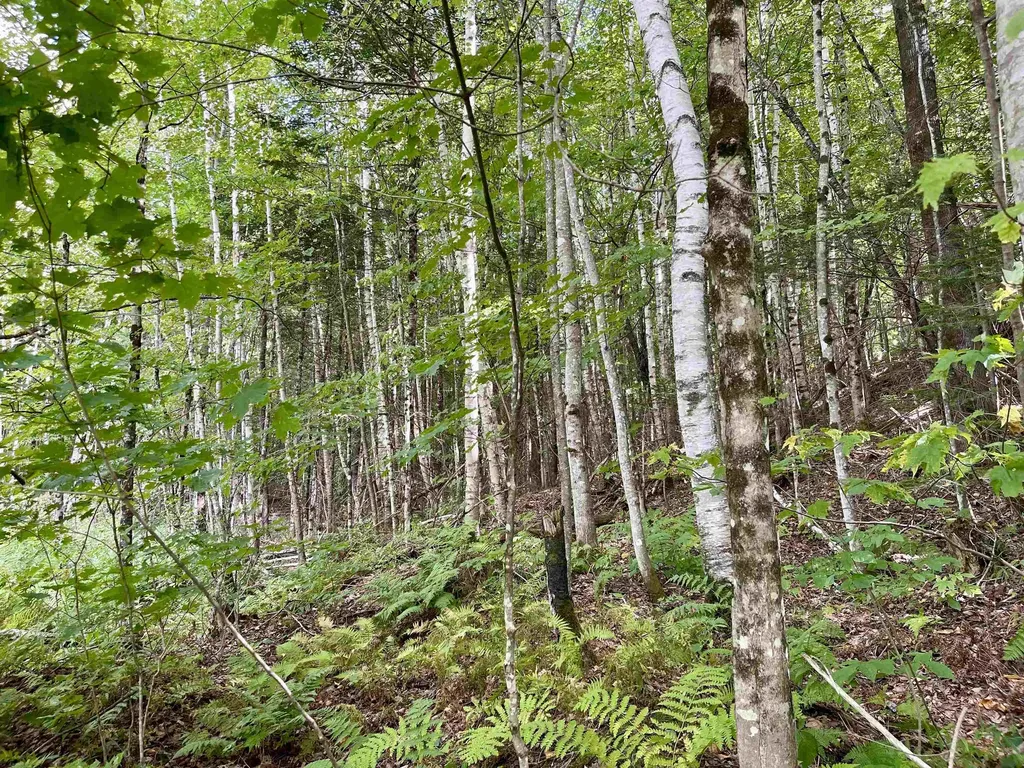 00 Dog Wood Lane Lyndon VT 05851