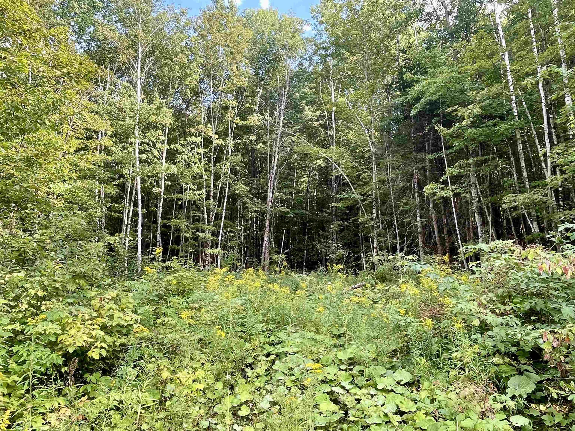 00 Dog Wood Lane Lyndon VT 05851