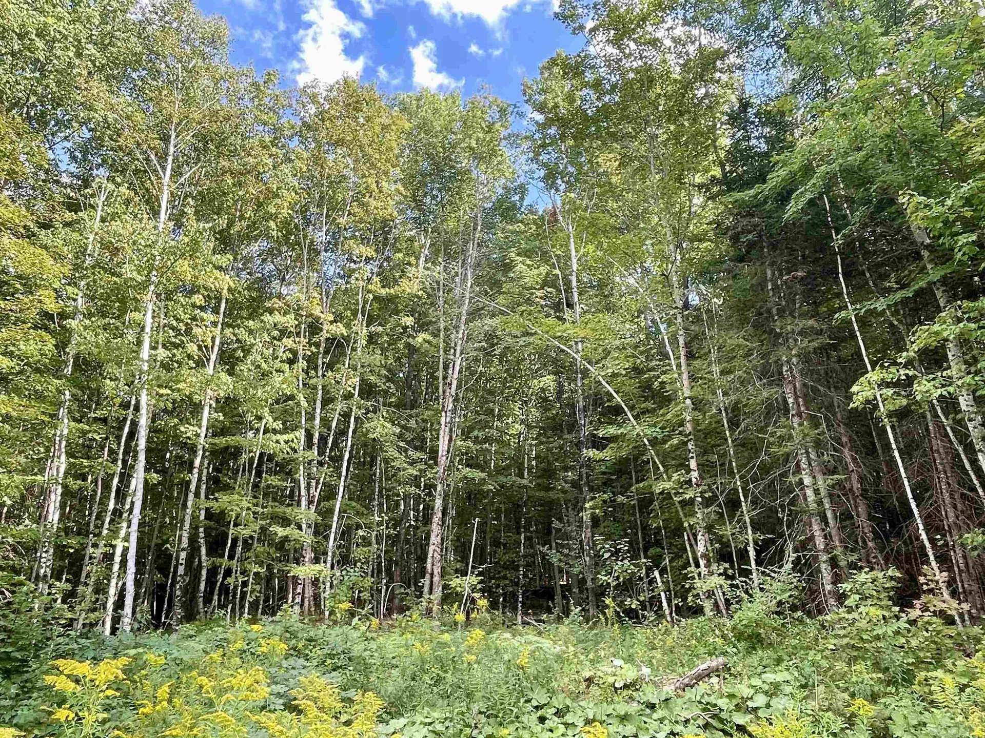 00 Dog Wood Lane Lyndon VT 05851