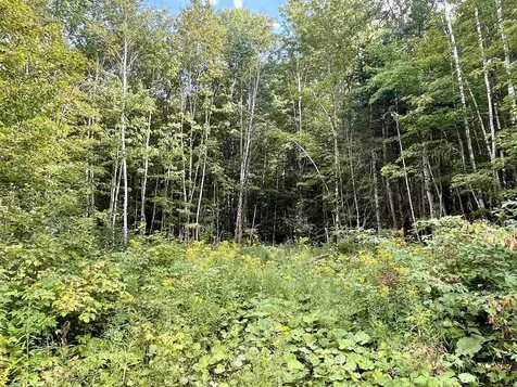 00 Dog Wood Lane Lyndon VT 05851