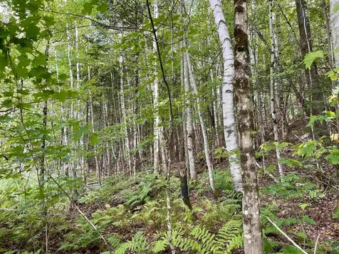 00 Dog Wood Lane Lyndon VT 05851