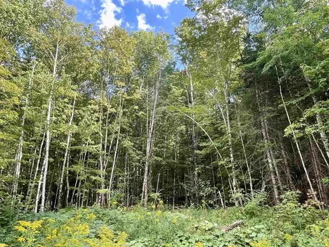 00 Dog Wood Lane Lyndon VT 05851