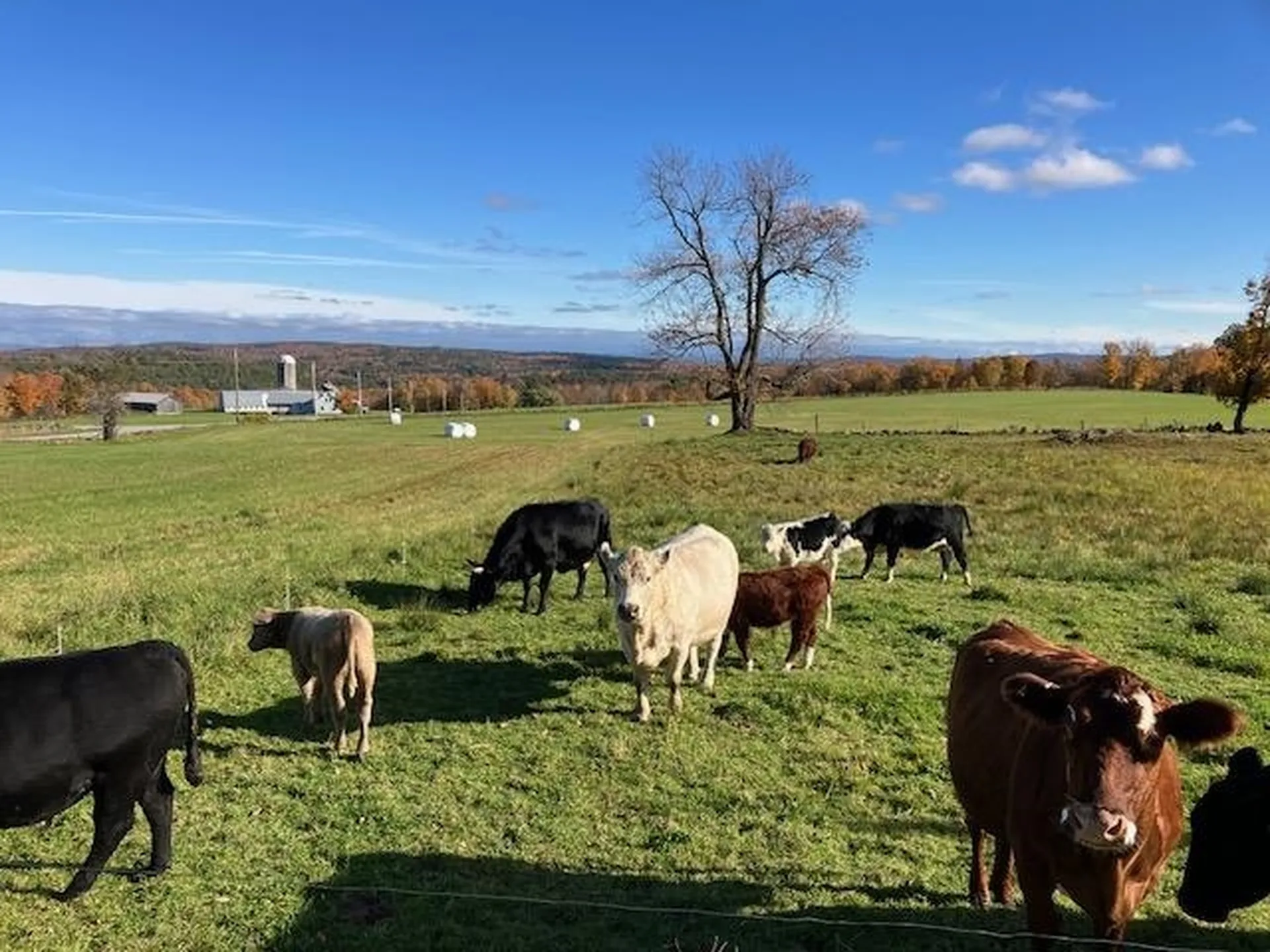 1192 Chapel Hill Road Whitingham VT 05361