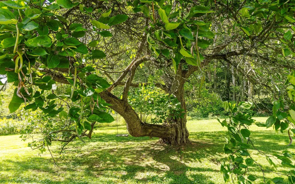 134 Wentworth Road Walpole NH 03608