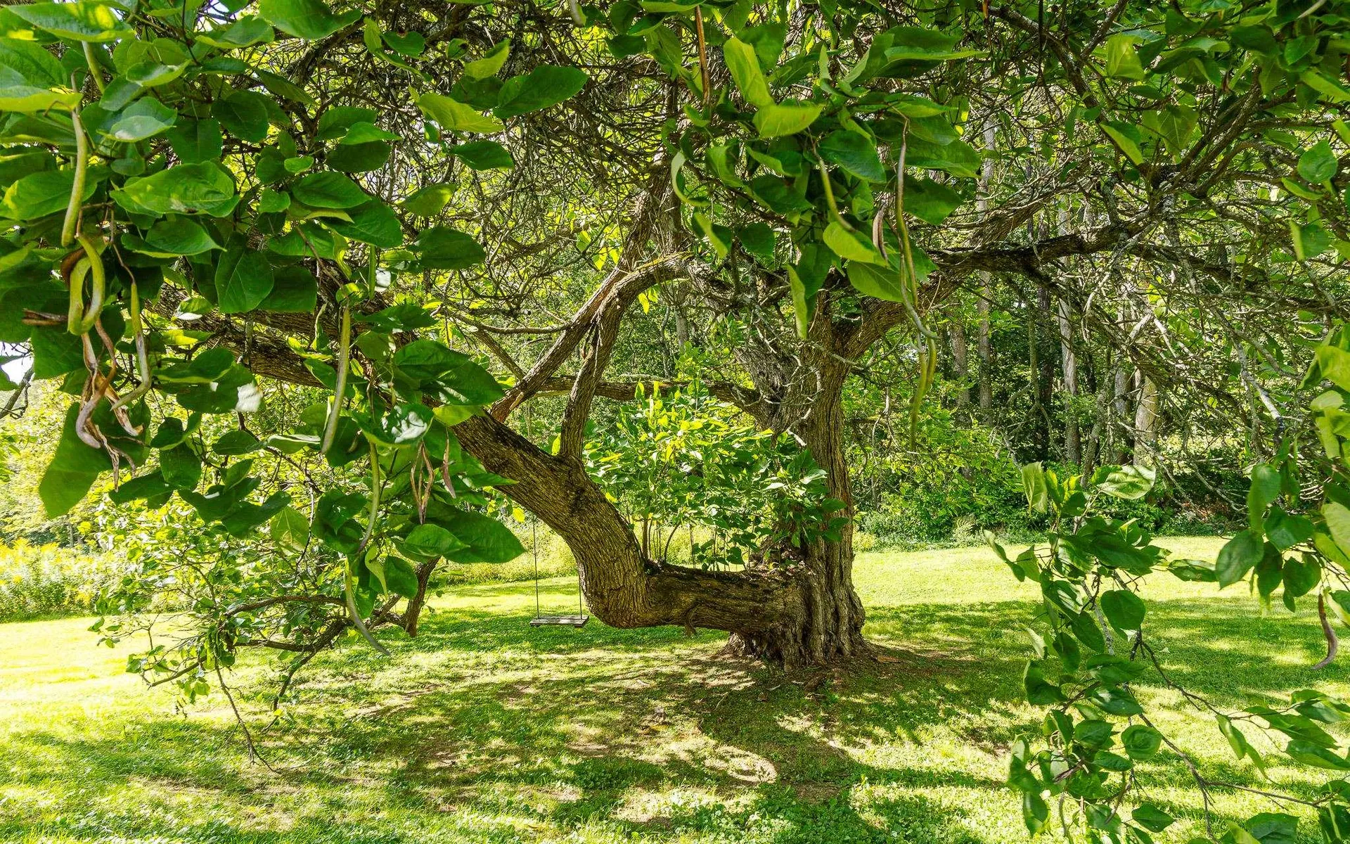 134 Wentworth Road Walpole NH 03608