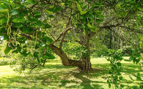 134 Wentworth Road Walpole NH 03608