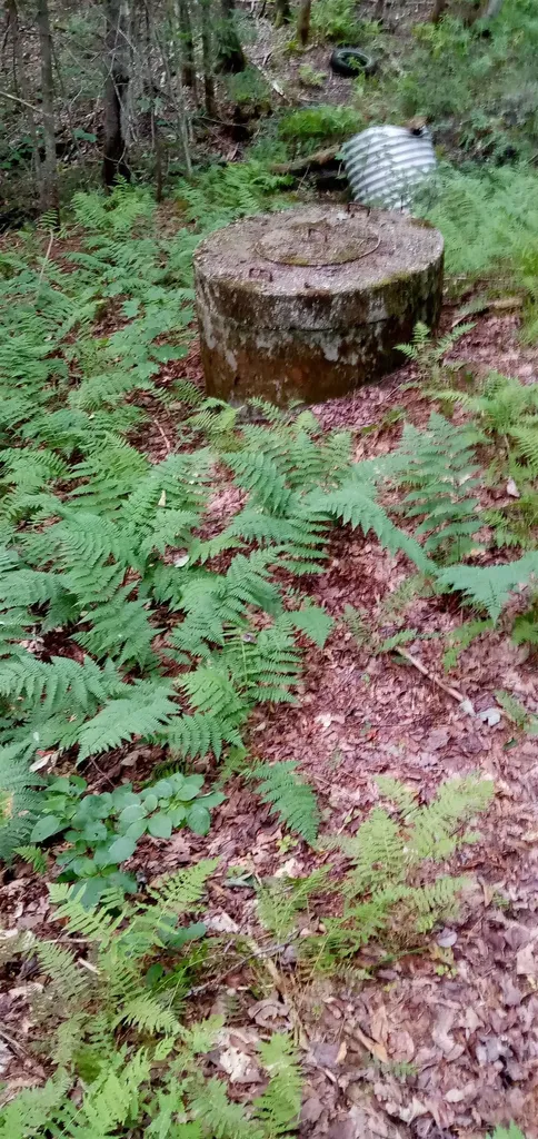 1252 Hardwood Flats Road Elmore VT 05657