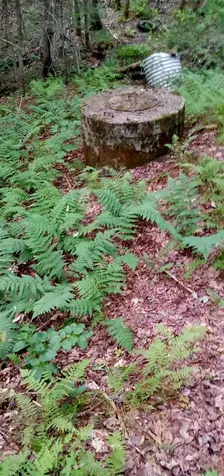 1252 Hardwood Flats Road Elmore VT 05657