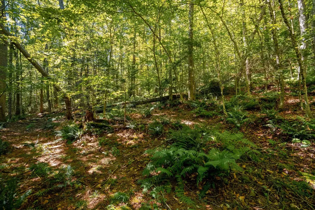 00 Turtle Rock Road Stoddard NH 03464