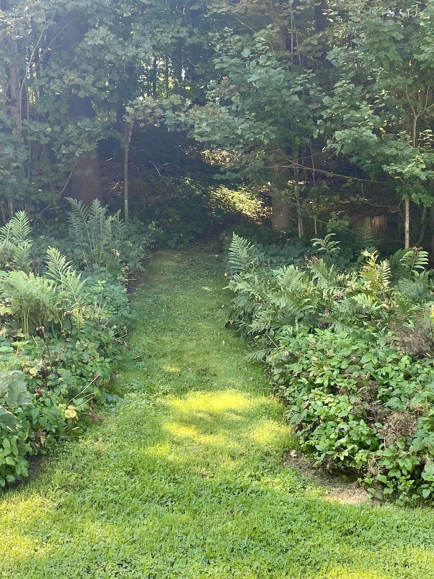 21 West Street Middletown Springs VT 05757