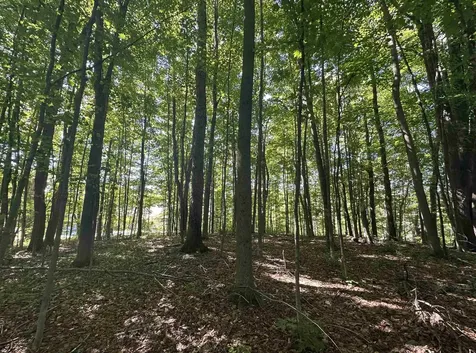 21 West Street Middletown Springs VT 05757