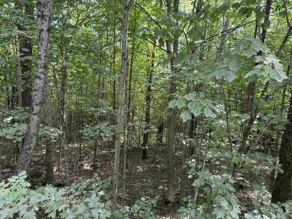 000 Granby Road Victory VT 05840