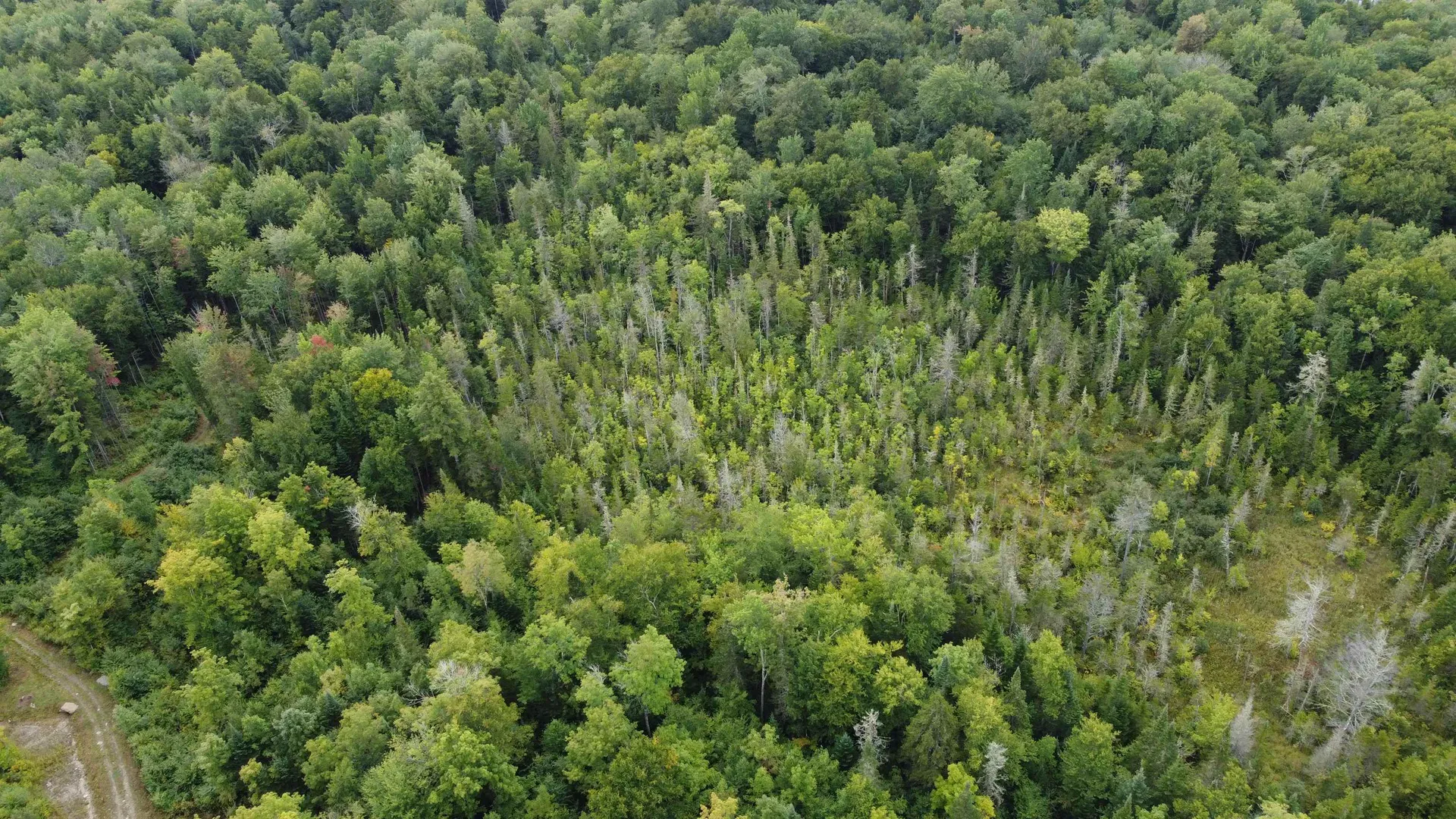 000 Granby Road Victory VT 05840