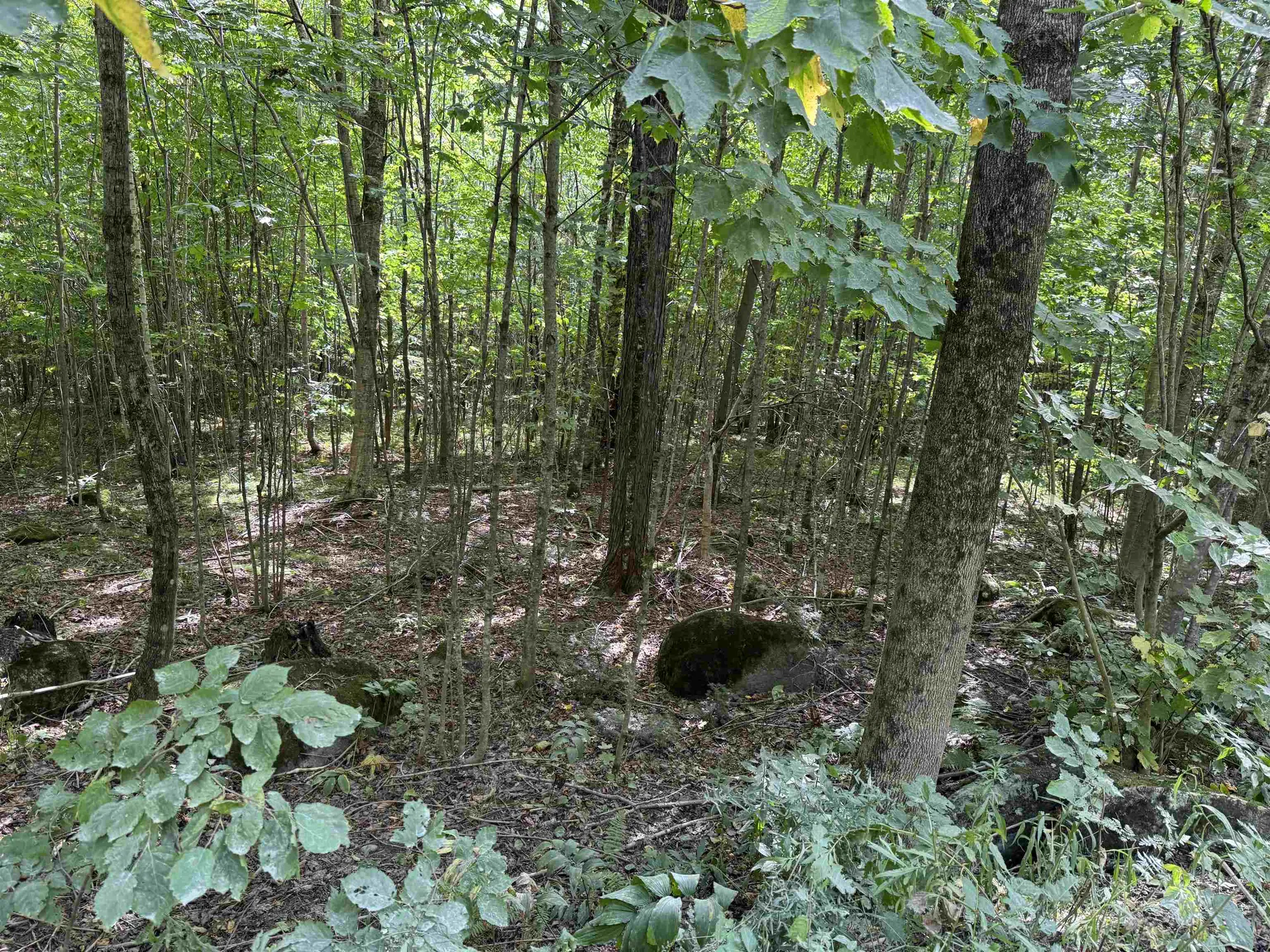 000 Granby Road Victory VT 05840