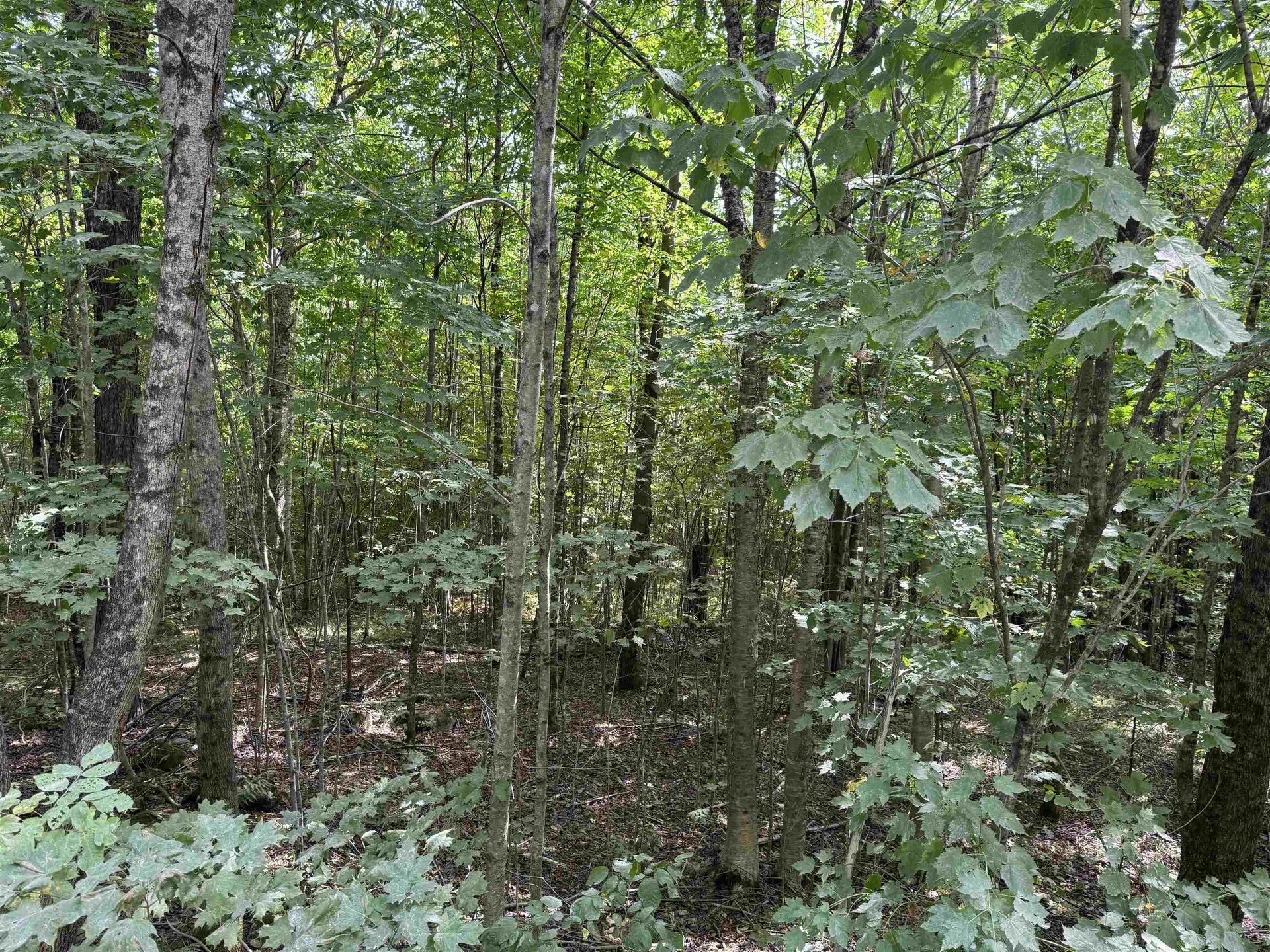 000 Granby Road Victory VT 05840