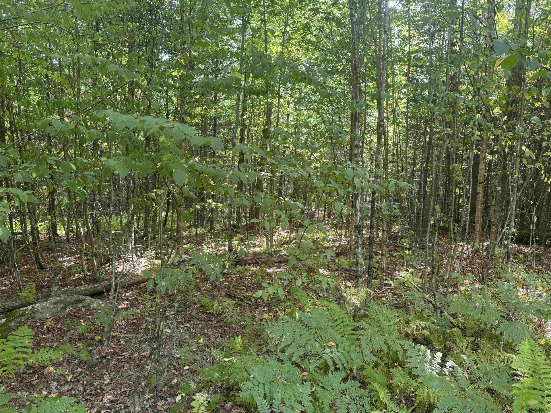 000 Granby Road Victory VT 05840