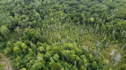 000 Granby Road Victory VT 05840