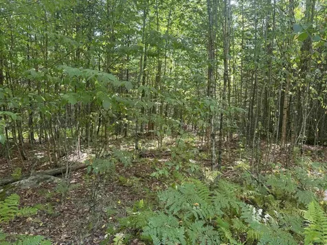 000 Granby Road Victory VT 05840