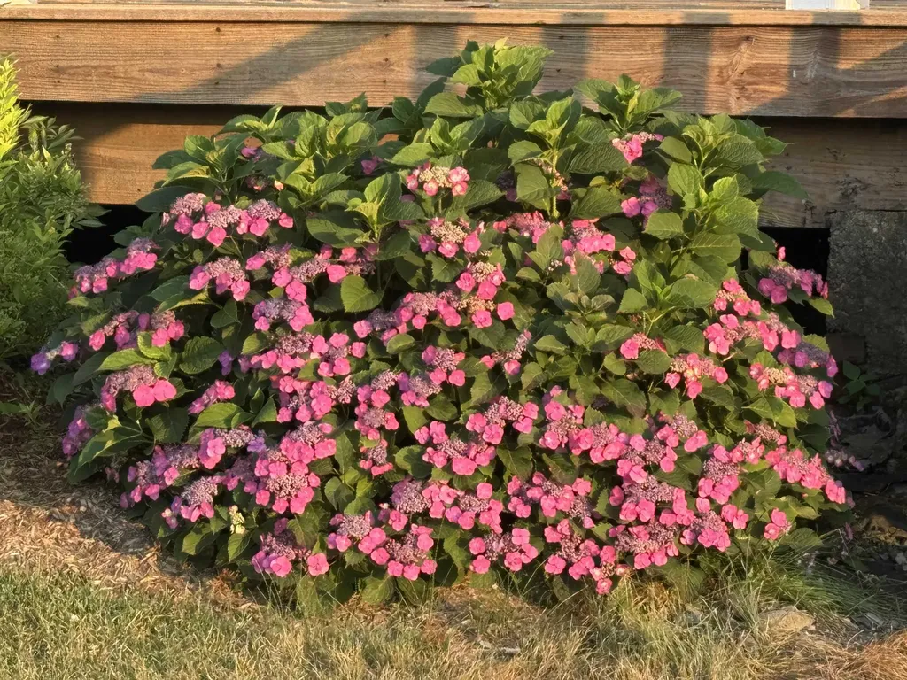 4351 Crown Point Road Bridport VT 05734