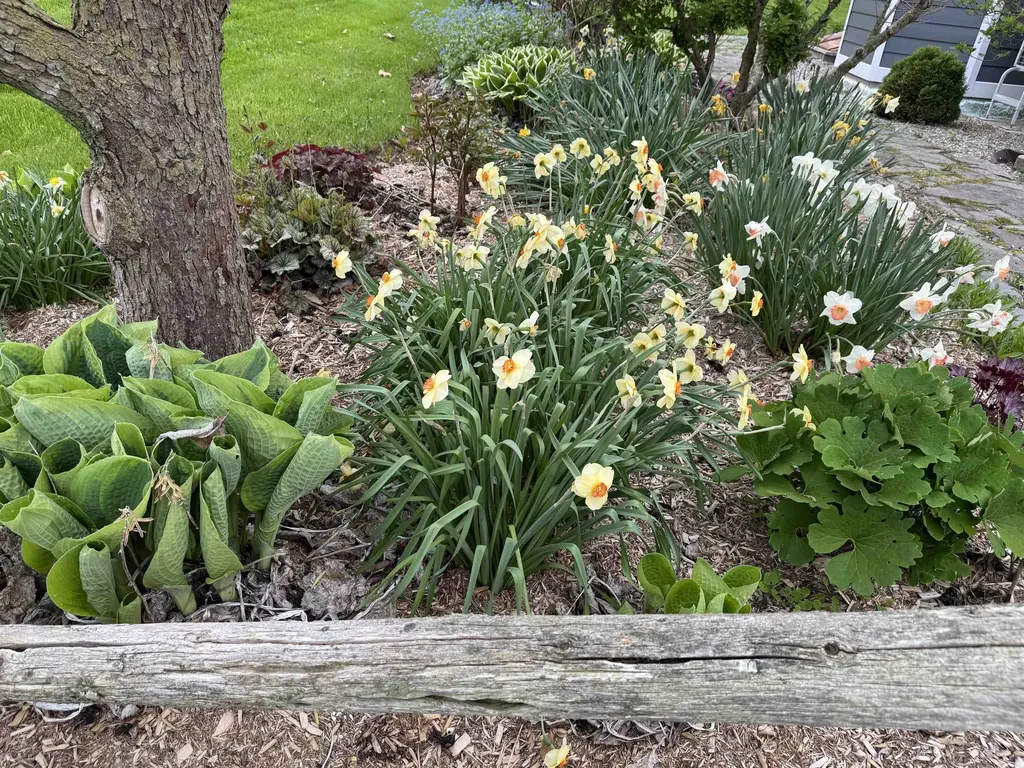 4351 Crown Point Road Bridport VT 05734