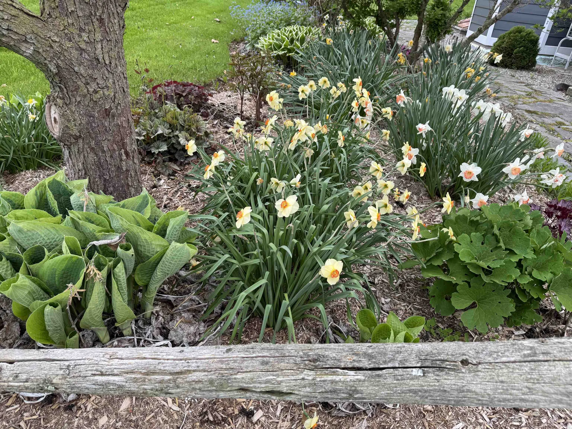 4351 Crown Point Road Bridport VT 05734