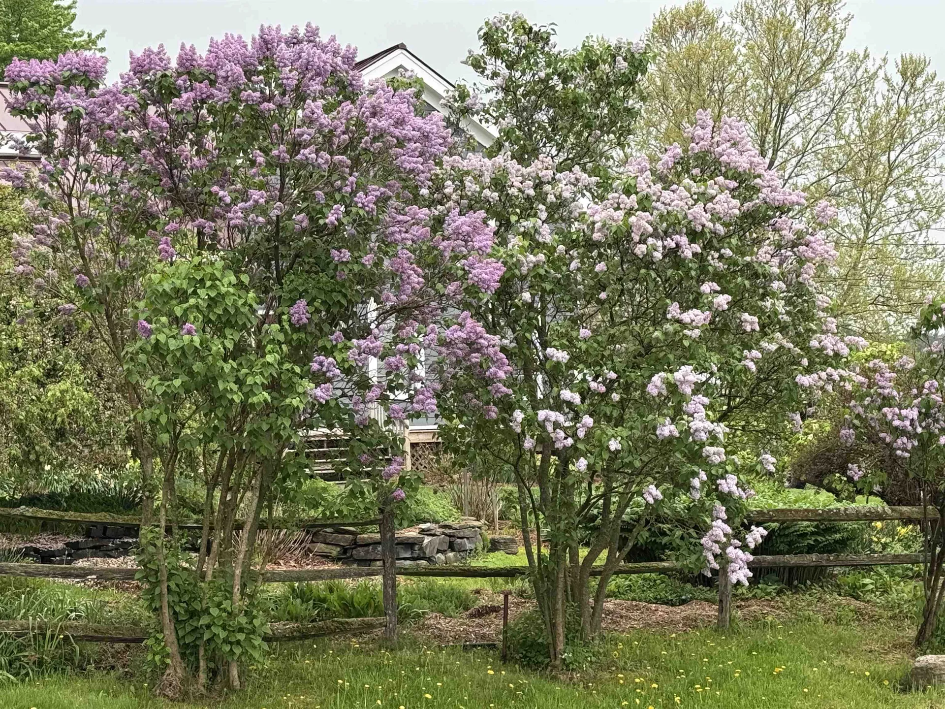 4351 Crown Point Road Bridport VT 05734