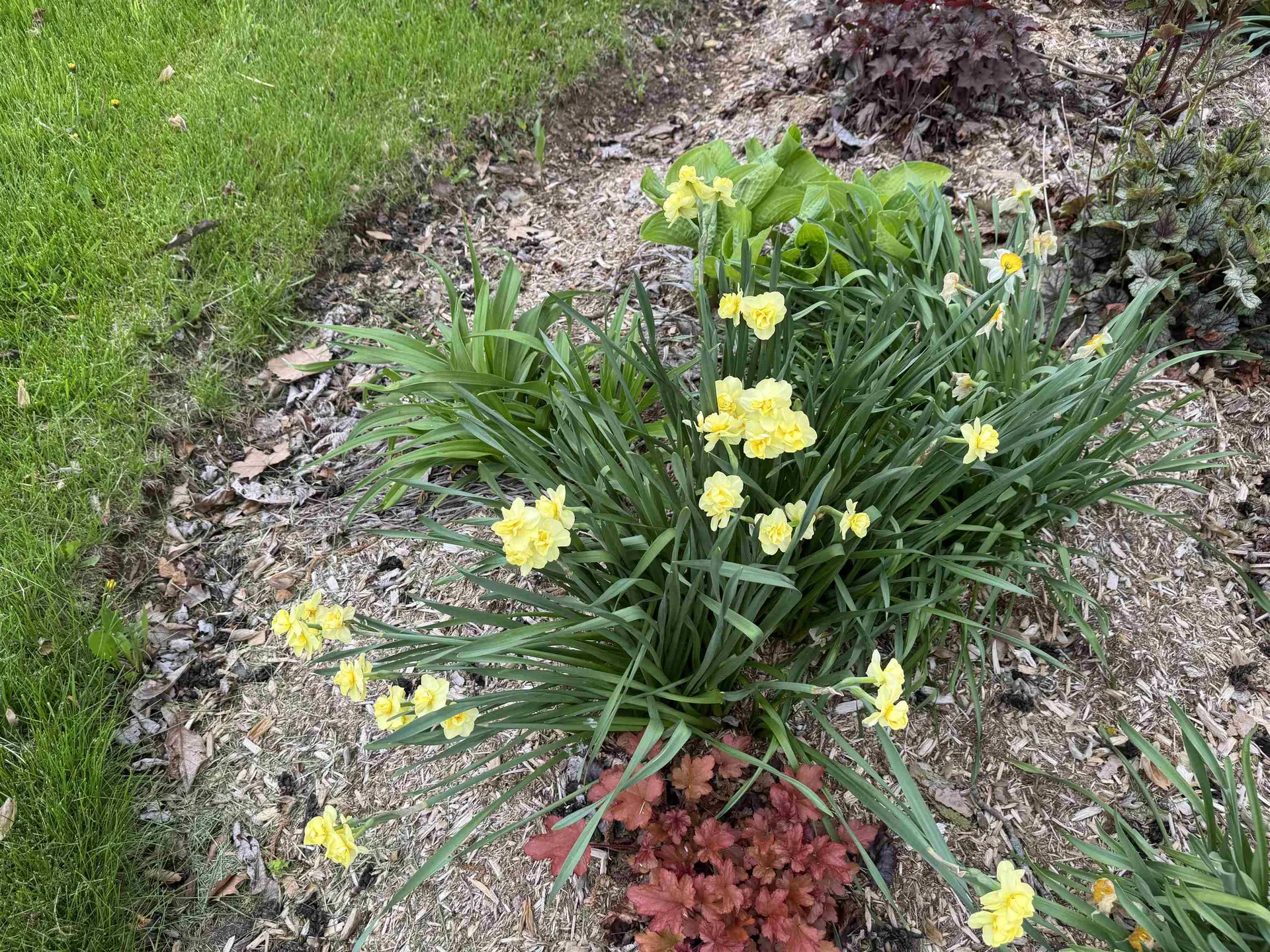 4351 Crown Point Road Bridport VT 05734