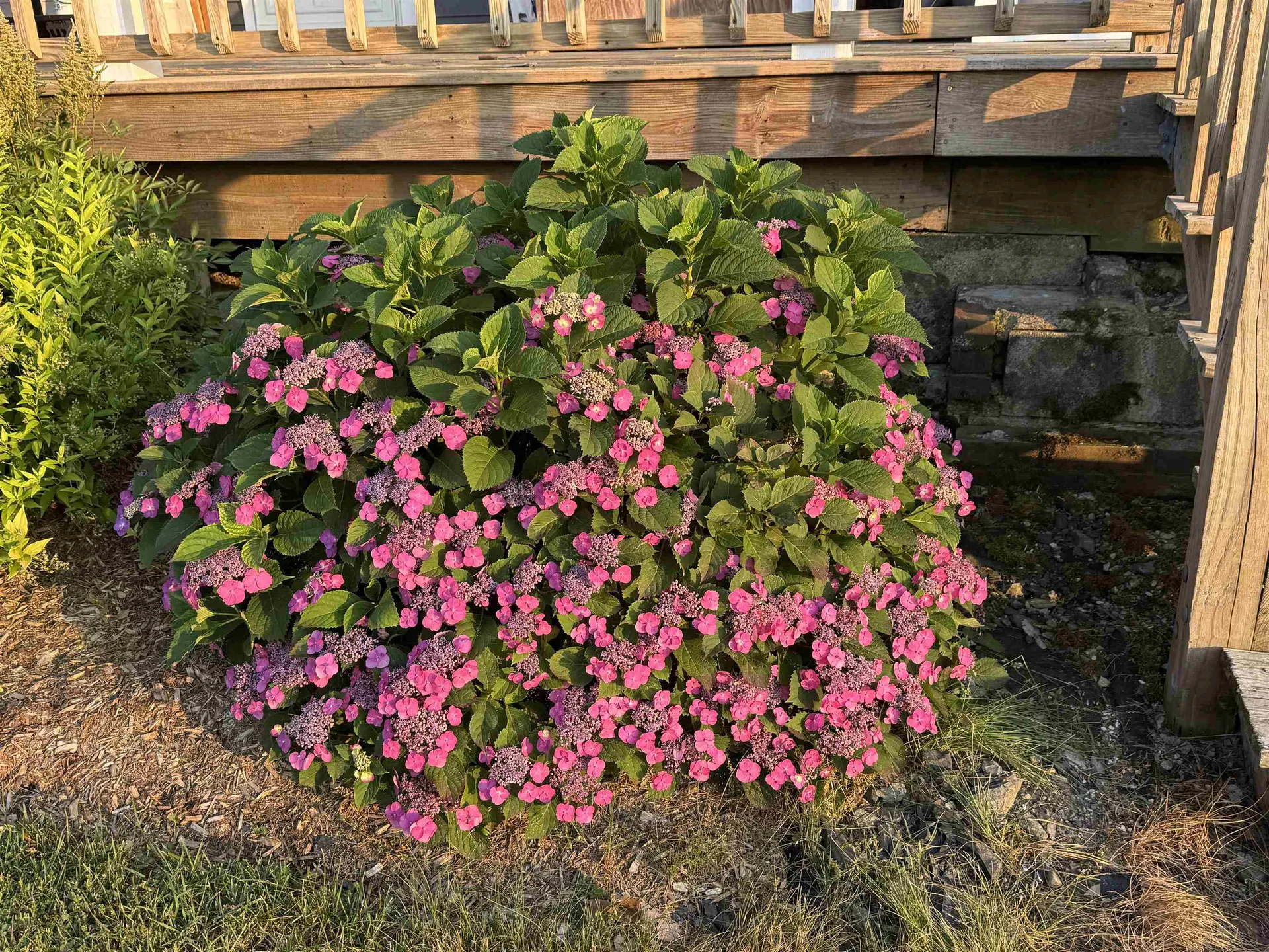 4351 Crown Point Road Bridport VT 05734